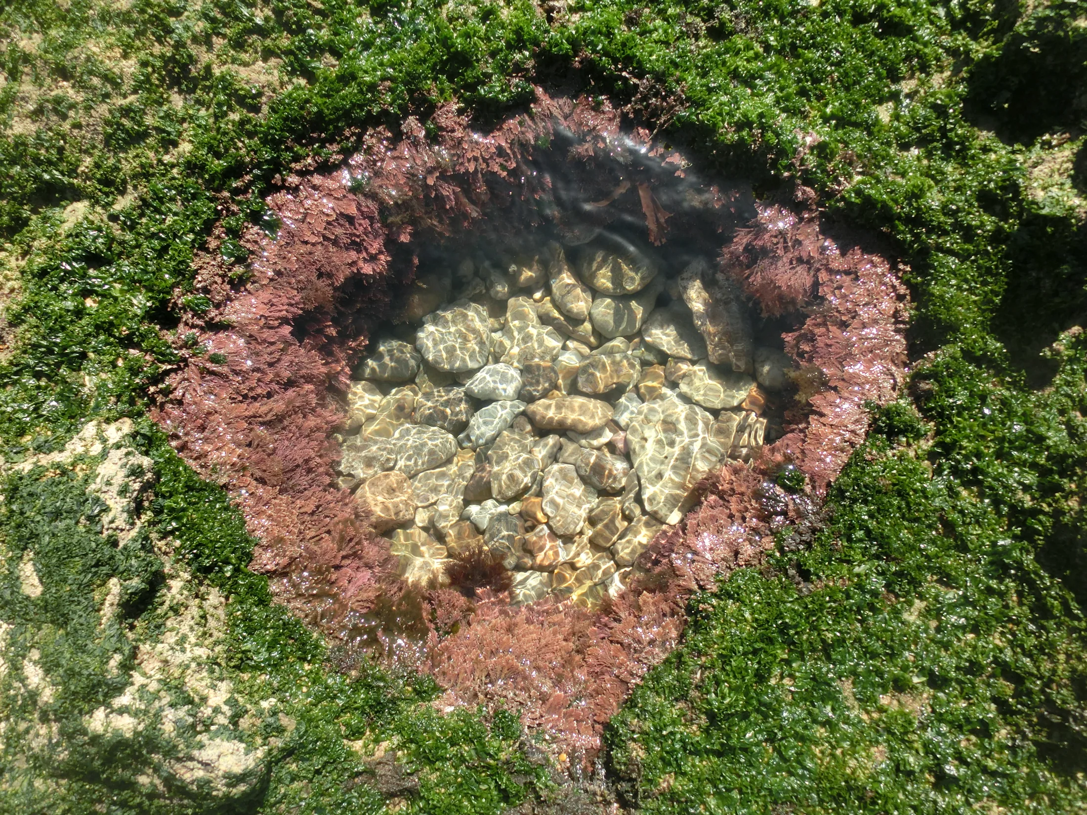 eye in the ground